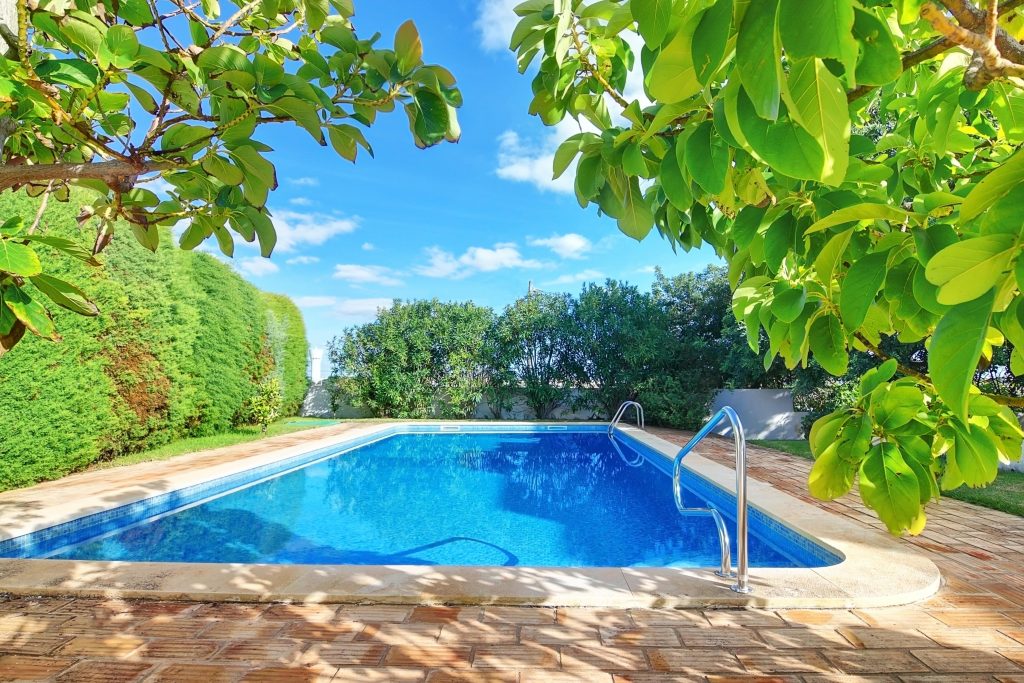 A vibrant photo peering out of tree leafs of a blue swimming pool that is surrounded by green shrubs.