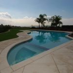 Freeform pool and spa overlooking a beautiful landscape with palm trees.